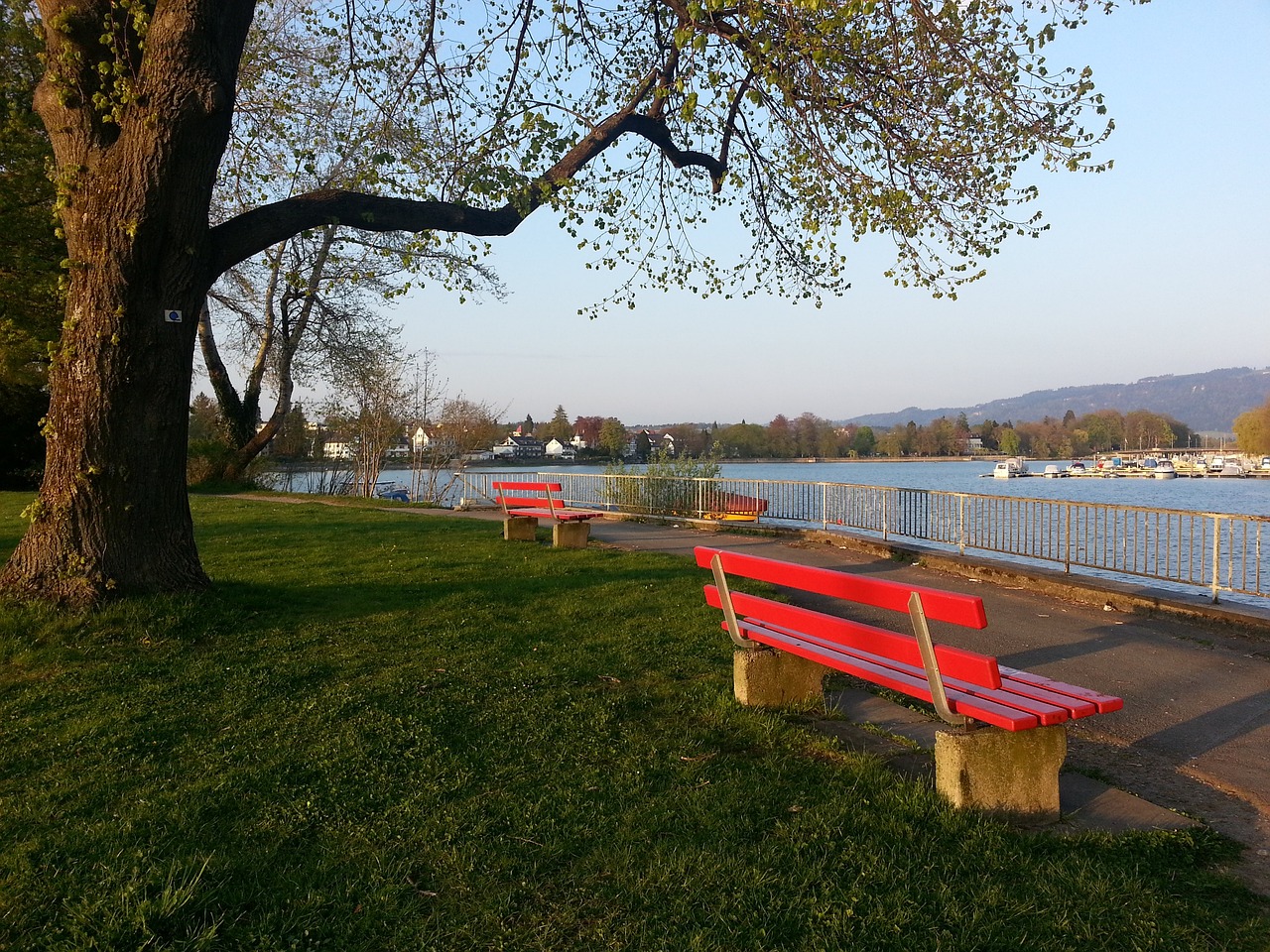 戴维斯的回 戴维斯的回