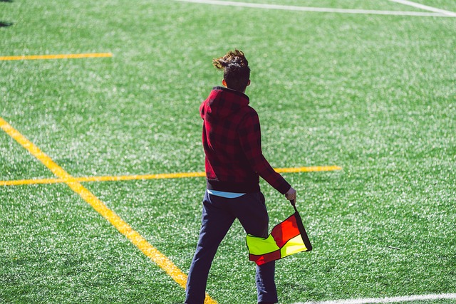 双核联手 双核联手