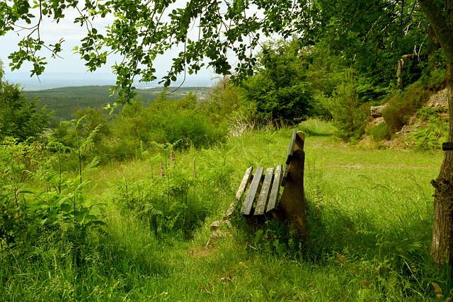 球員的健康 球員的健康