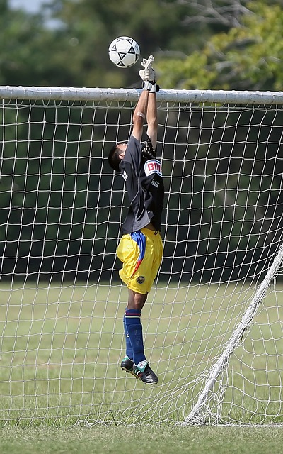 他在与澳洲 他在与澳洲