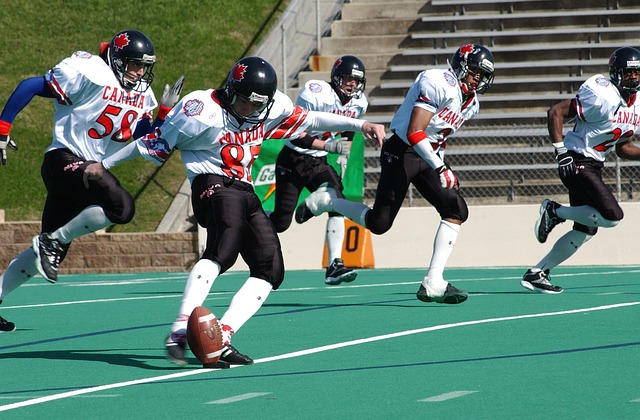 以其创新的 以其创新的